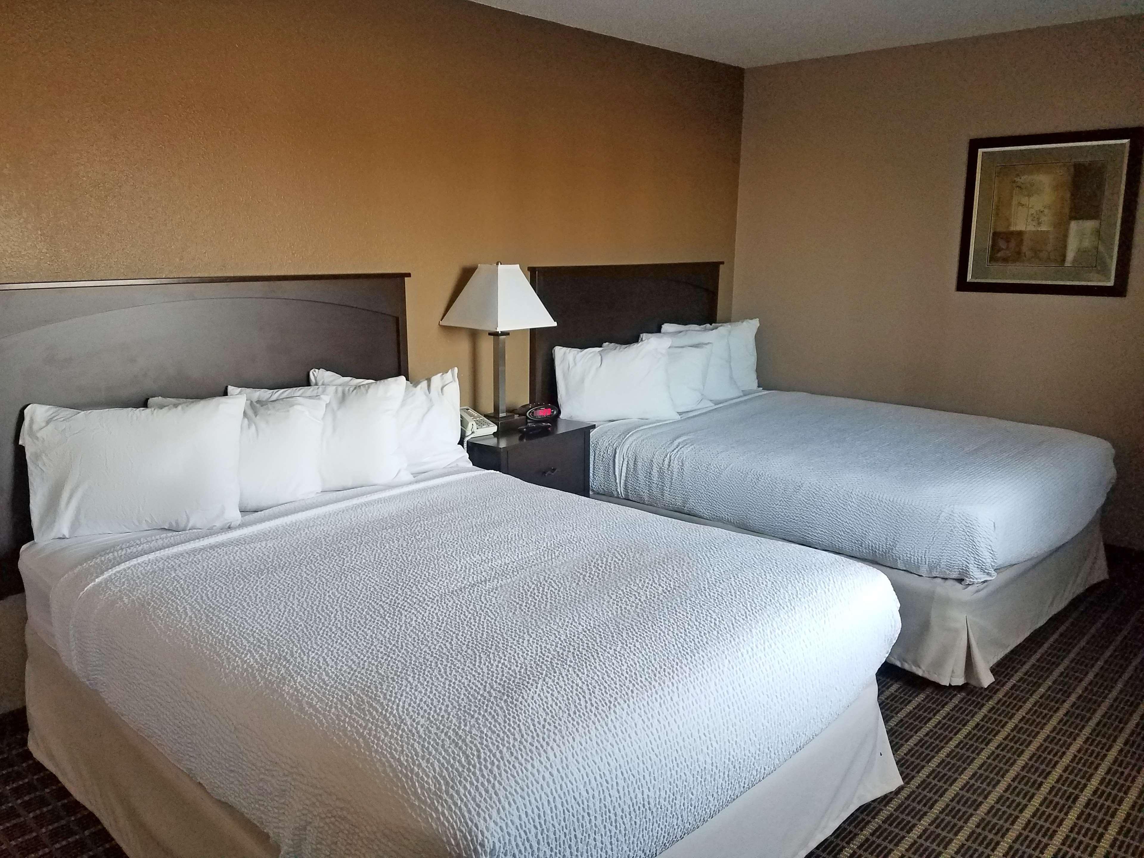 Americas Best Value Inn&Suites Bismarck Extérieur photo